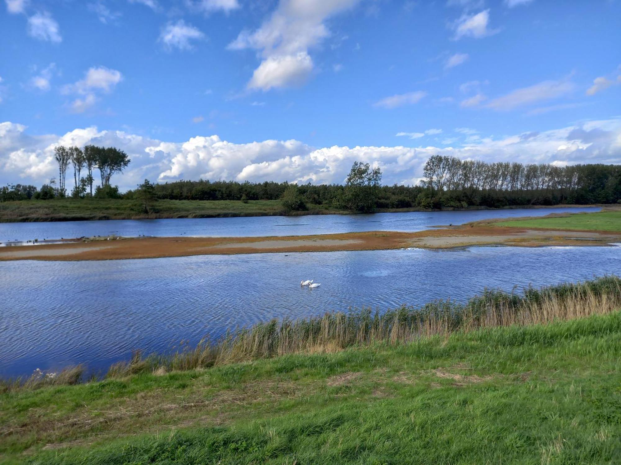 Holiday home Wulpdal Scherpenisse